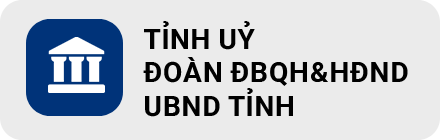 tỉnh uỷ DBQH.png